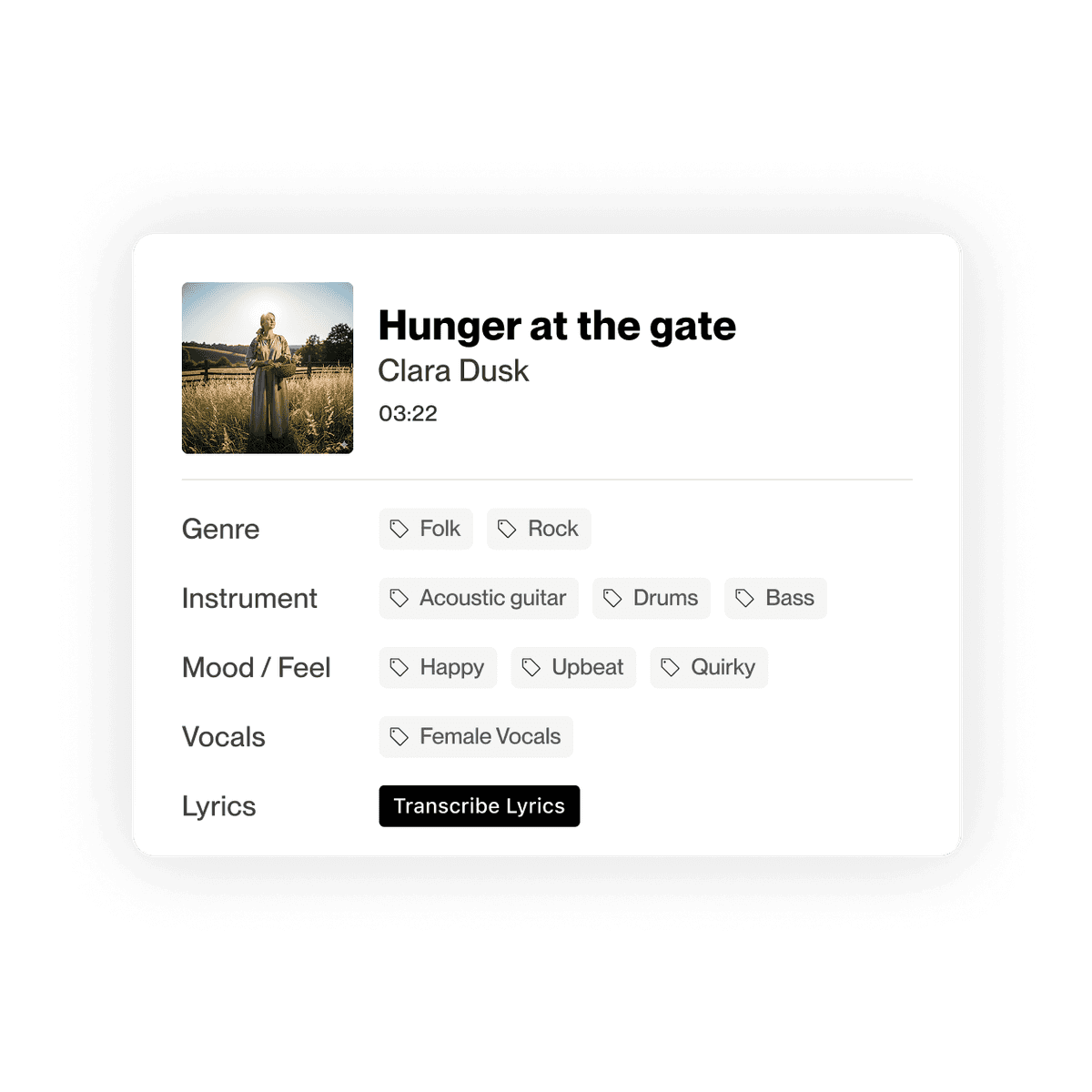 Metadata details for a track in DISCO, showing tags including genre, instrument, mood/feel and lyrics.